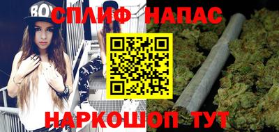 МДПВ Кингисепп