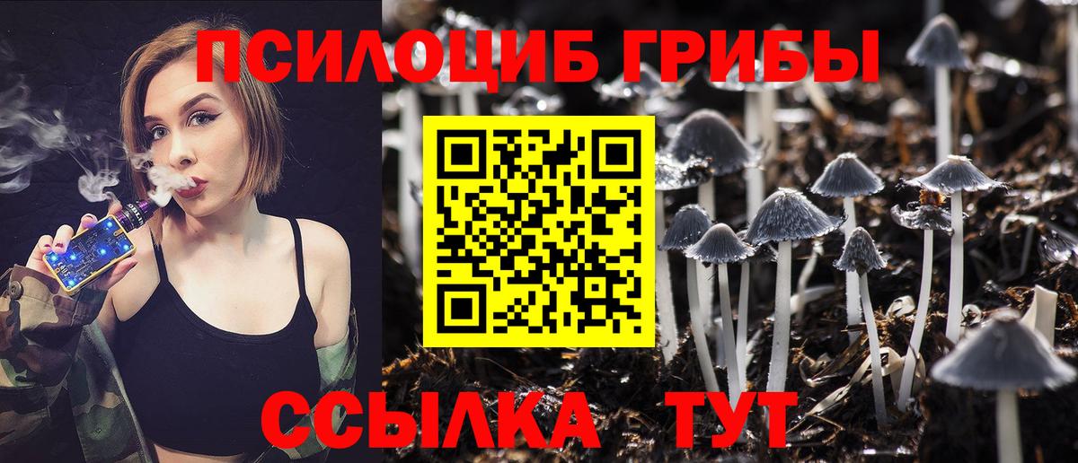 Галлюциногенные грибы MAGIC MUSHROOMS Кизилюрт