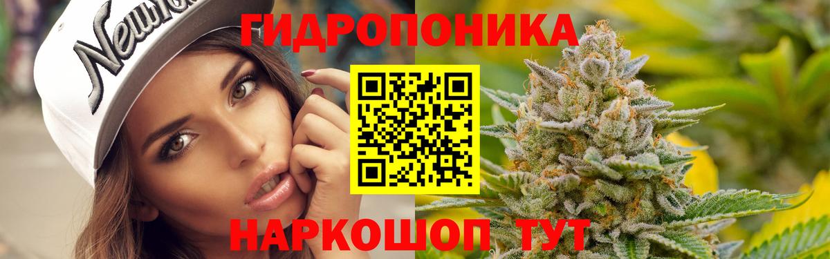 Кизилюрт  Конопля SATIVA & INDICA  Вход с VPN  Марихуана Bruce Banner  Бошки марихуана ГИДРОПОН 